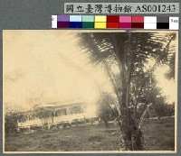 藏品(Angaur 的磷礦公司宿舍)的圖片